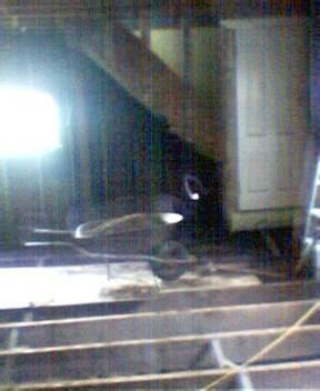 picture2.jpg
